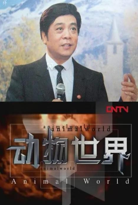 赵忠祥塌房事件背后：我们为何对名人丑闻如此上瘾？
