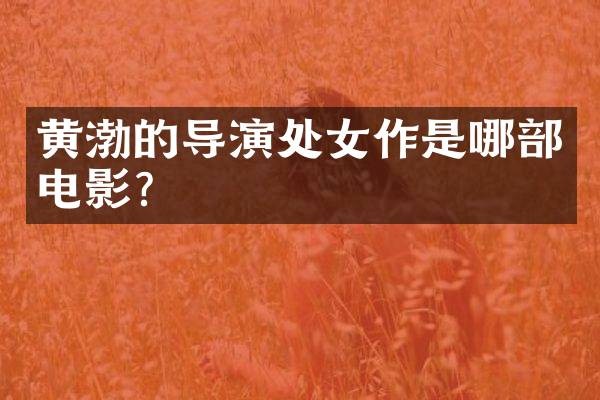 黄渤的导演处女作是哪部电影?