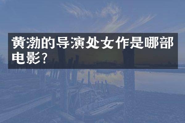 黄渤的导演处女作是哪部电影？