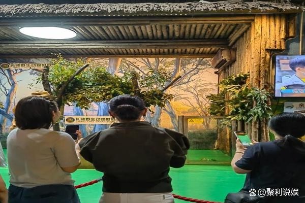 秦海璐野生动物园出游，网友热议明星家庭，特权待遇引关注