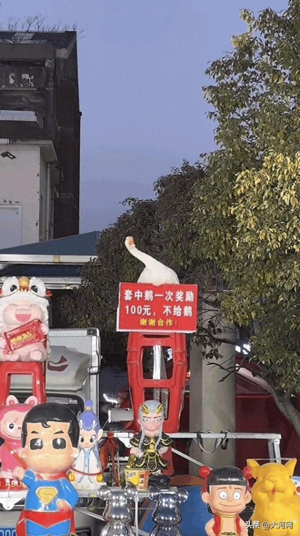 安徽一套圈摊位大鹅因“摇头晃脑”躲圈走红，业内人士：这叫音乐摇摆鹅，曾有人出一万块买鹅老板都不卖