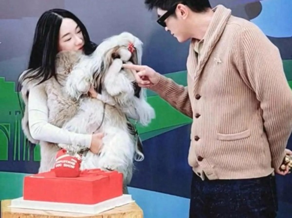 霍思燕遛狗热照背后:明星与宠物何时是表演,何时是真实?