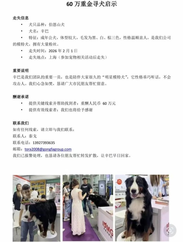 广东一公司悬赏60万元寻伯恩山犬,公司负责人称“赏金一定会兑现”:“辛巴”是公司团队重要一员,也是“明星模特犬”—顶端新闻