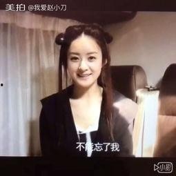 明星视频在线观看,在线观看热门视频,尽享星光熠熠