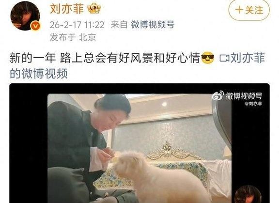 复婚了？甜馨陪爸爸回老家过年，贾乃亮晒全家福，意外揭拍照人