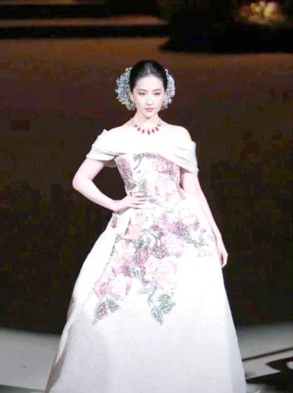 刘亦菲与满天星:一场关于文化与审美的深刻对话