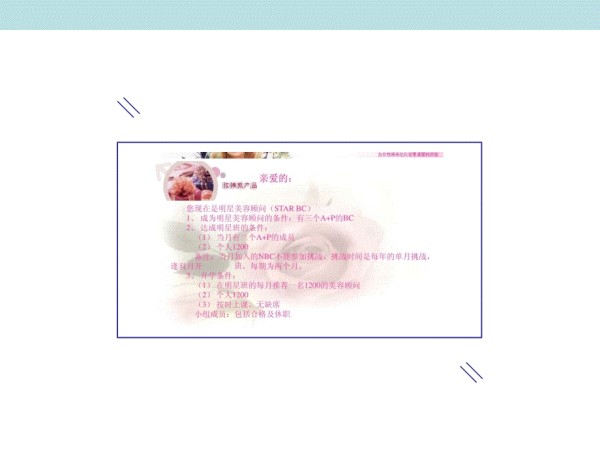 玫琳凯明星美容顾问培训.pptx_第2页