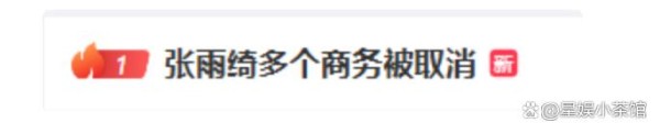 张雨绮被多个商务取消上热搜！