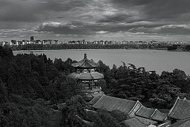 被征服的女明星1至55章|55位女明星的奋斗传奇:她们如何用坚韧与智慧征服娱乐圈?-2