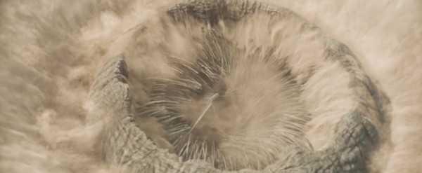 ▲电影《沙丘1》剧照(图/视频截图)