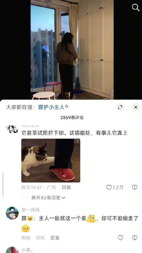 猫:还笑孩子要被人抱走了不知豆吗?