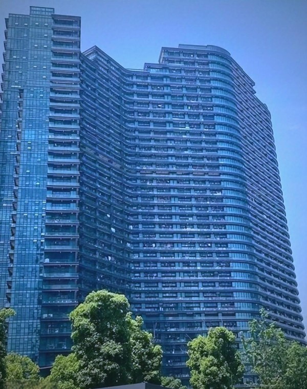 网红经济的现状挑战与未来发展路径探讨