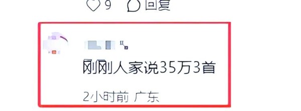 金莎的商演生涯与辉煌过往：从神坛到现实的转变