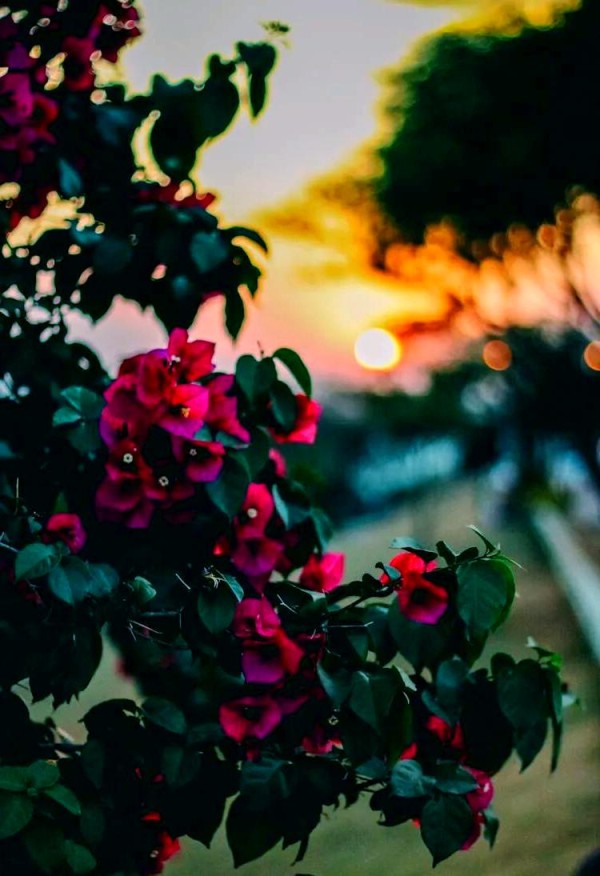 王鹤棣与田曦薇：从挑战到成功的星途