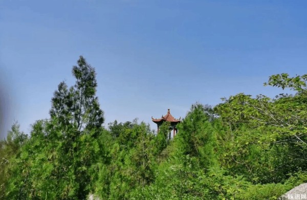 赵家庄闵姓，闵子骞后人