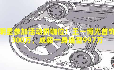 《男明星参加活动拼咖位!王一博光首饰就300万,成毅一身造型997万》