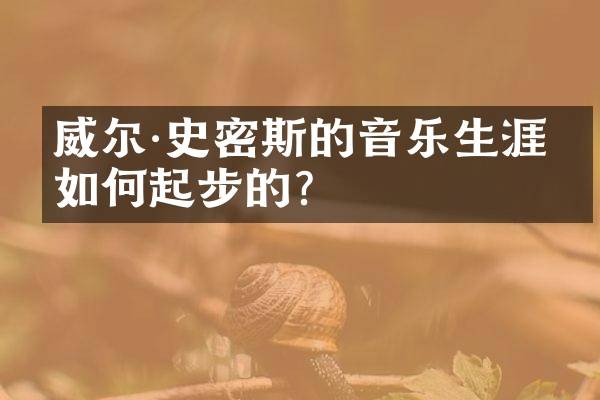 威尔·史密斯的音乐生涯是如何起步的？