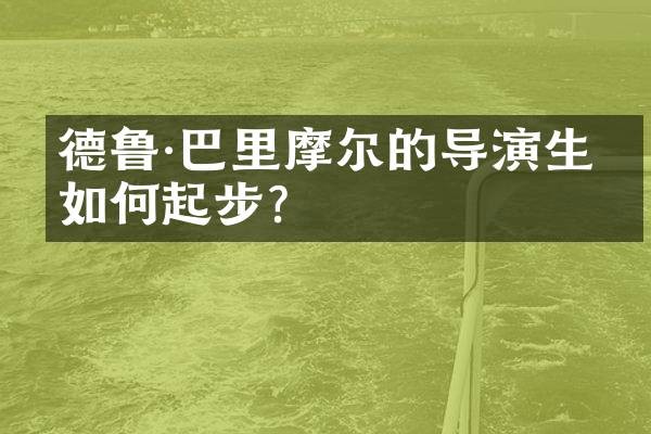 德鲁·巴里摩尔的导演生涯如何起步？