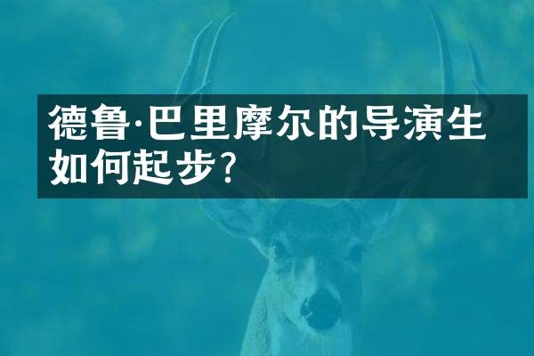 德鲁·巴里摩尔的导演生涯如何起步？