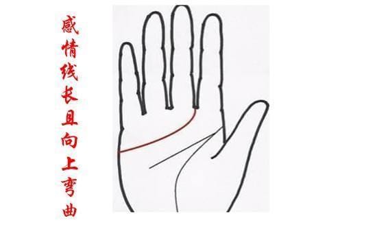 手纹图解：感情线长代表什么，手相感情线过长5种情况图解