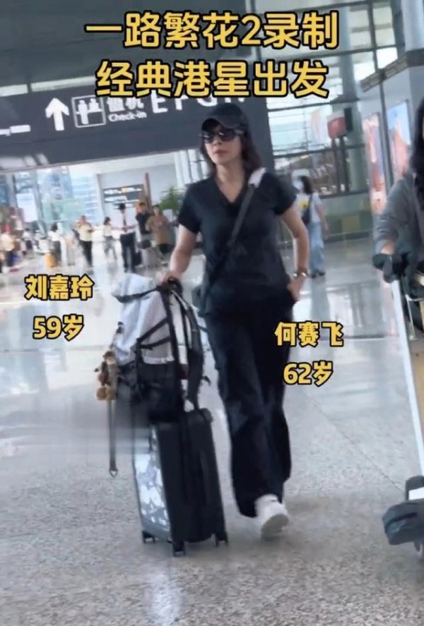 明星尴尬对峙引热议，刘嘉玲高冷让人心疼，呼吁多点包容