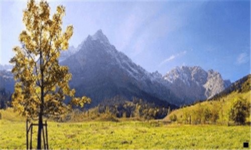 一苏芒为什么退出芭莎慈善夜