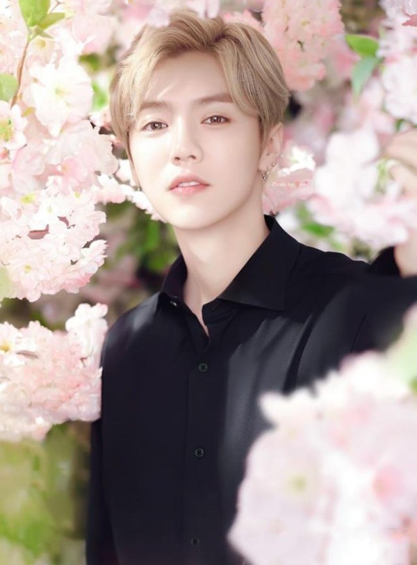 哪些明星过分炒作导致网友对其的好感度下降，人气超高的他也在