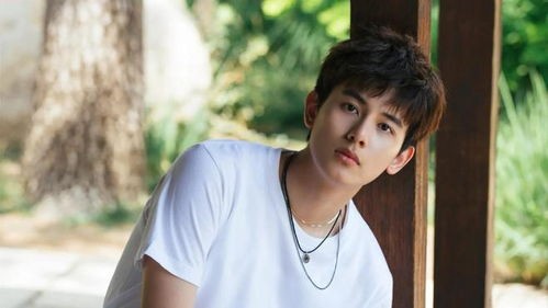 如何形容檀健次的词语有哪些