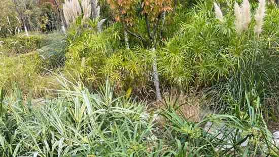 艺名大全好听文艺