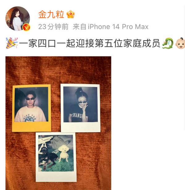 金靖官宣怀孕！男友成谜疑似未婚先孕，网友还在磕她和李佳琦？