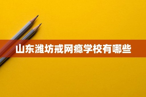 山东潍坊戒网瘾学校有哪些