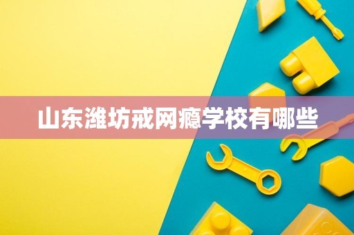 山东潍坊戒网瘾学校有哪些