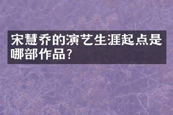 宋慧乔的演艺生涯起点是哪部作品？