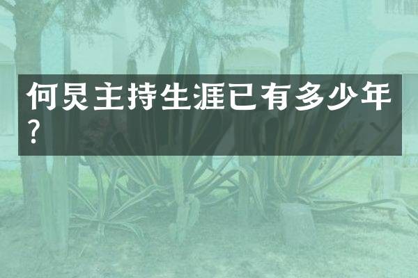 何炅主持生涯已有多少年？