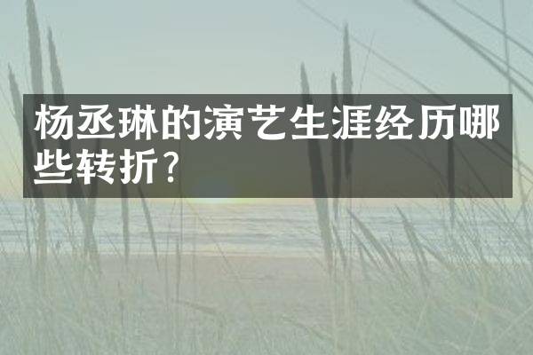 杨丞琳的演艺生涯经历哪些转折？