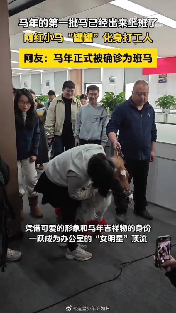 马年返工第一天！明星开工状态曝光：有人失眠有人摆烂