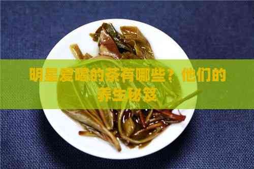 明星爱喝的茶有哪些?他们的养生秘笈