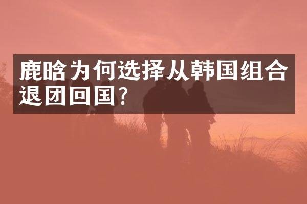 鹿晗为何选择从韩国组合退团回国？