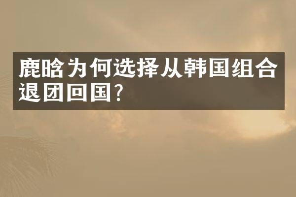 鹿晗为何选择从韩国组合退团回国？