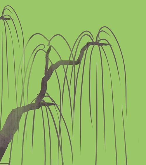 数字化时代下的粉丝社群:现象、特征与未来