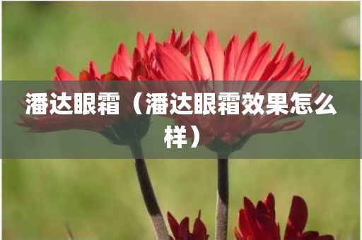 潘达眼霜（潘达眼霜效果怎么样）