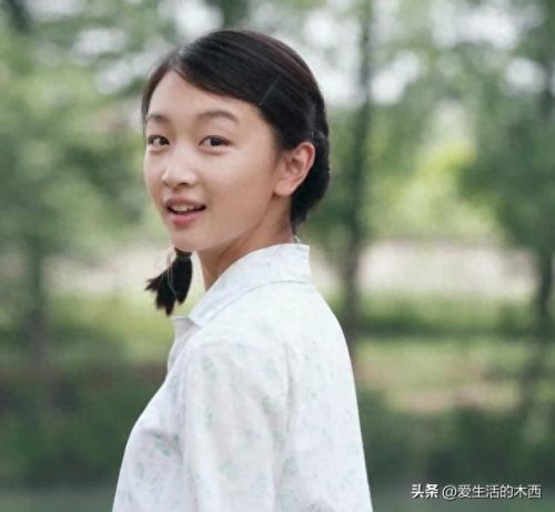 中国明星片酬排行榜(明星最高片酬)插图4