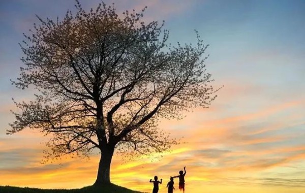 李玉保：明星闪耀，照亮教育路