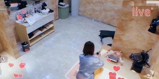 明星圈的多元挑战与策略应对