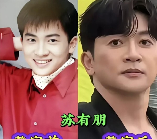 靠整容翻身的5位男星，个个换脸后事业醒来春天