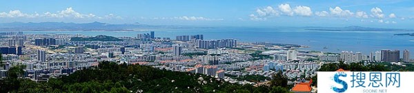 抖音十大网红身价排名