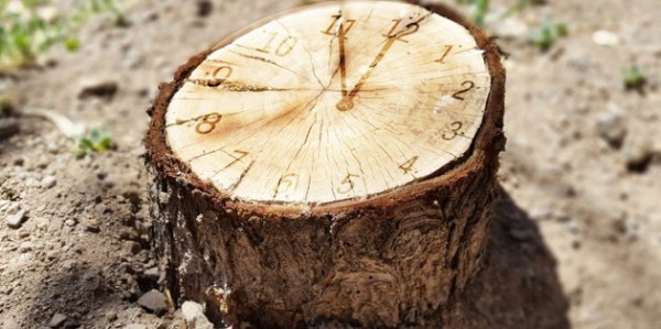 Upload_1554356625846.thumb_head