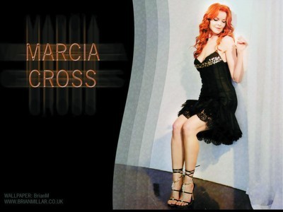 明星跨界拍电视甘受苦 电影人成艾美奖热门