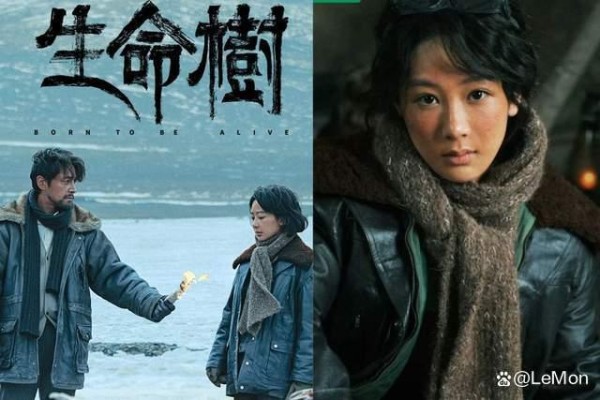 《生命树》真实原型故事太悲壮！剧情亮点+角色介绍：杨紫女警对决盗猎、胡歌神秘失踪成最大悬念