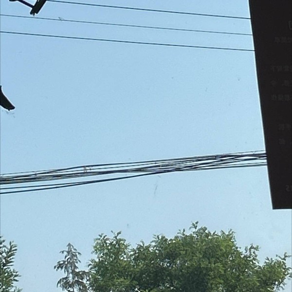 被央媒怒批，目不识丁、出尽洋相，这些文盲明星凭什么走红